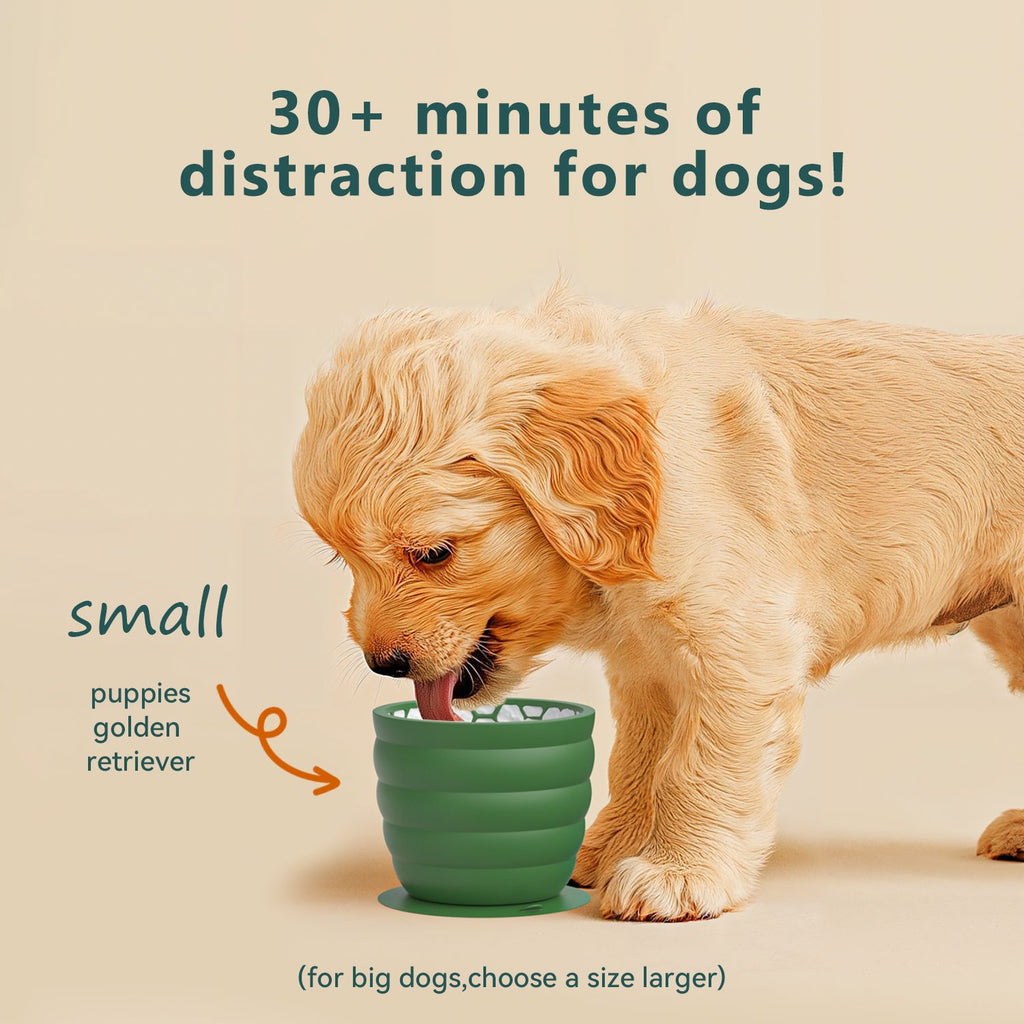 Pet Bottom Non-slip Anti-tumble Dog Bowl Selling Pet