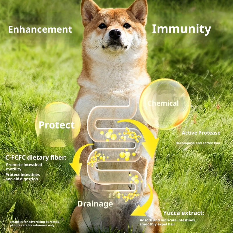 Ensemble de cadeaux gastronomiques pour animaux de compagnie en conserve