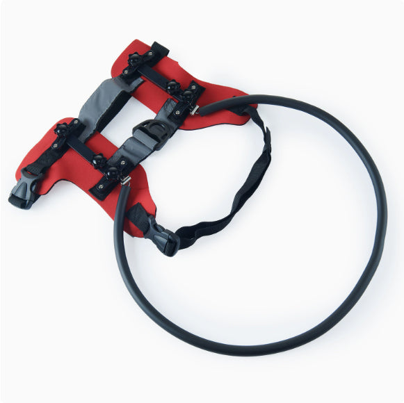 Collier Amazon Best-seller anti-collision avec laisse pour animaux aveugles