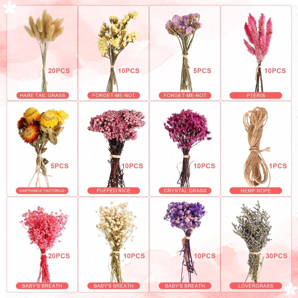 Ensemble de 140 Mini fleurs séchées dans des nuances de rose
