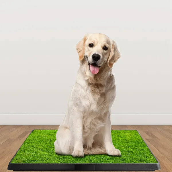Toilette de chien Toilette intérieure Puppy Training Pad