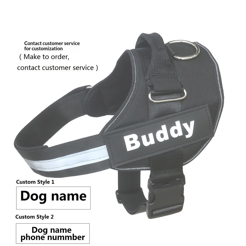 Harness Dog fournit des laisses et des paillettes