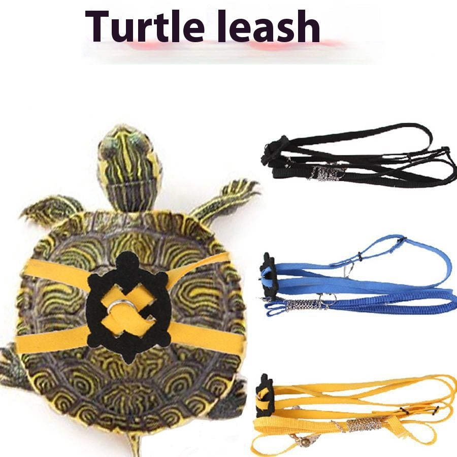 Sangle de traction de la tortue Pet Veste réglable