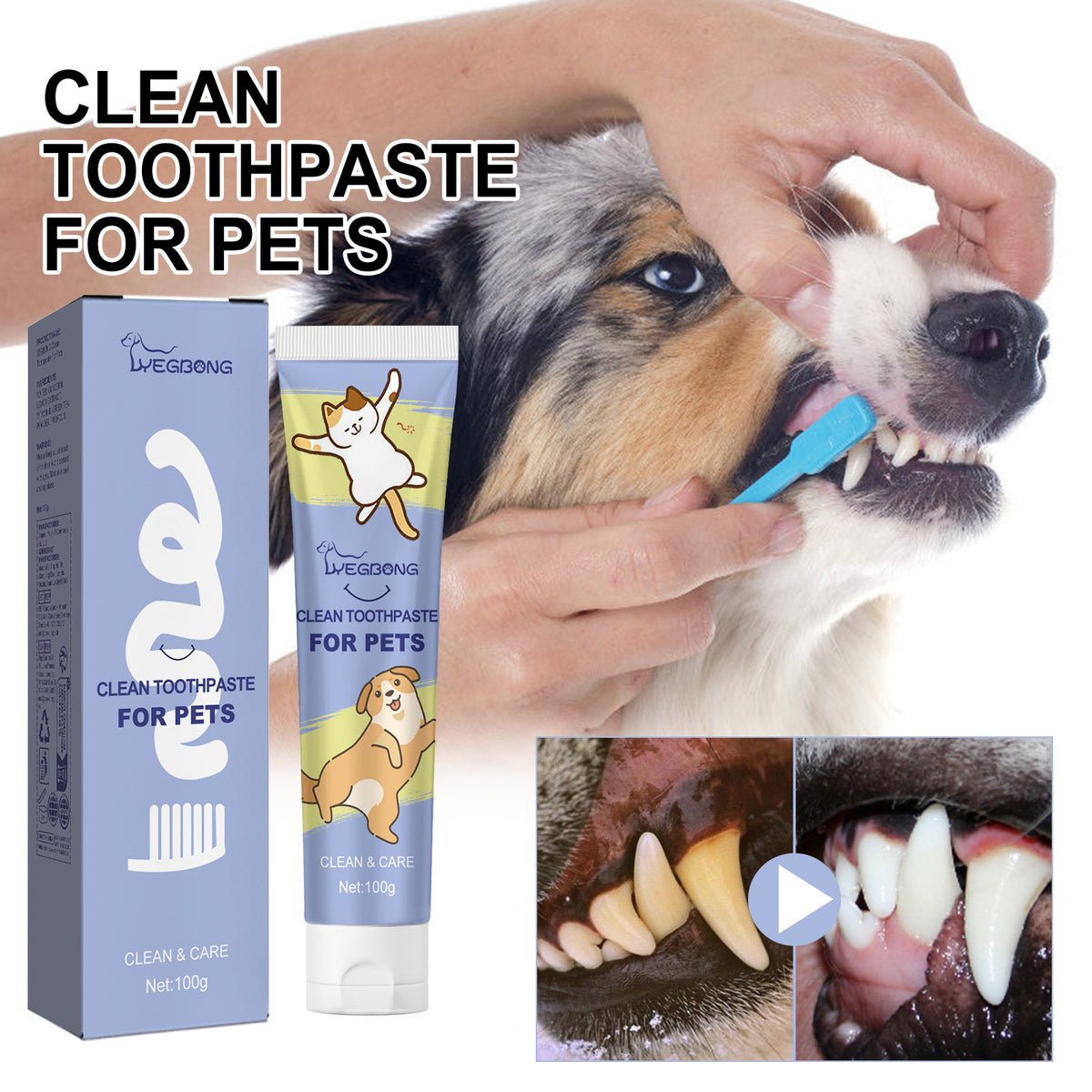 Cat toothpaste – dental hygiene, 100 ml tube