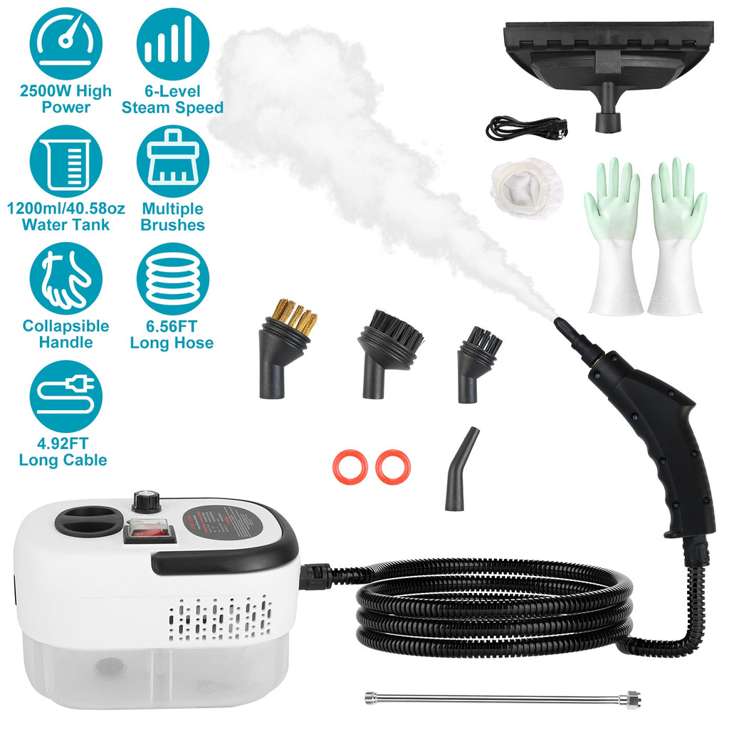 Nettoyeur de vapeur portatif 2500W multifonctionnel petit Steamer puissant haute température