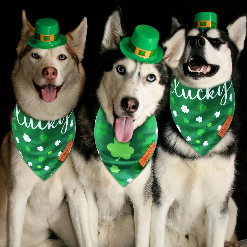 Bandanas de chien de St. Patrick
