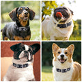 Collier réfléchissant pour chiens moyens