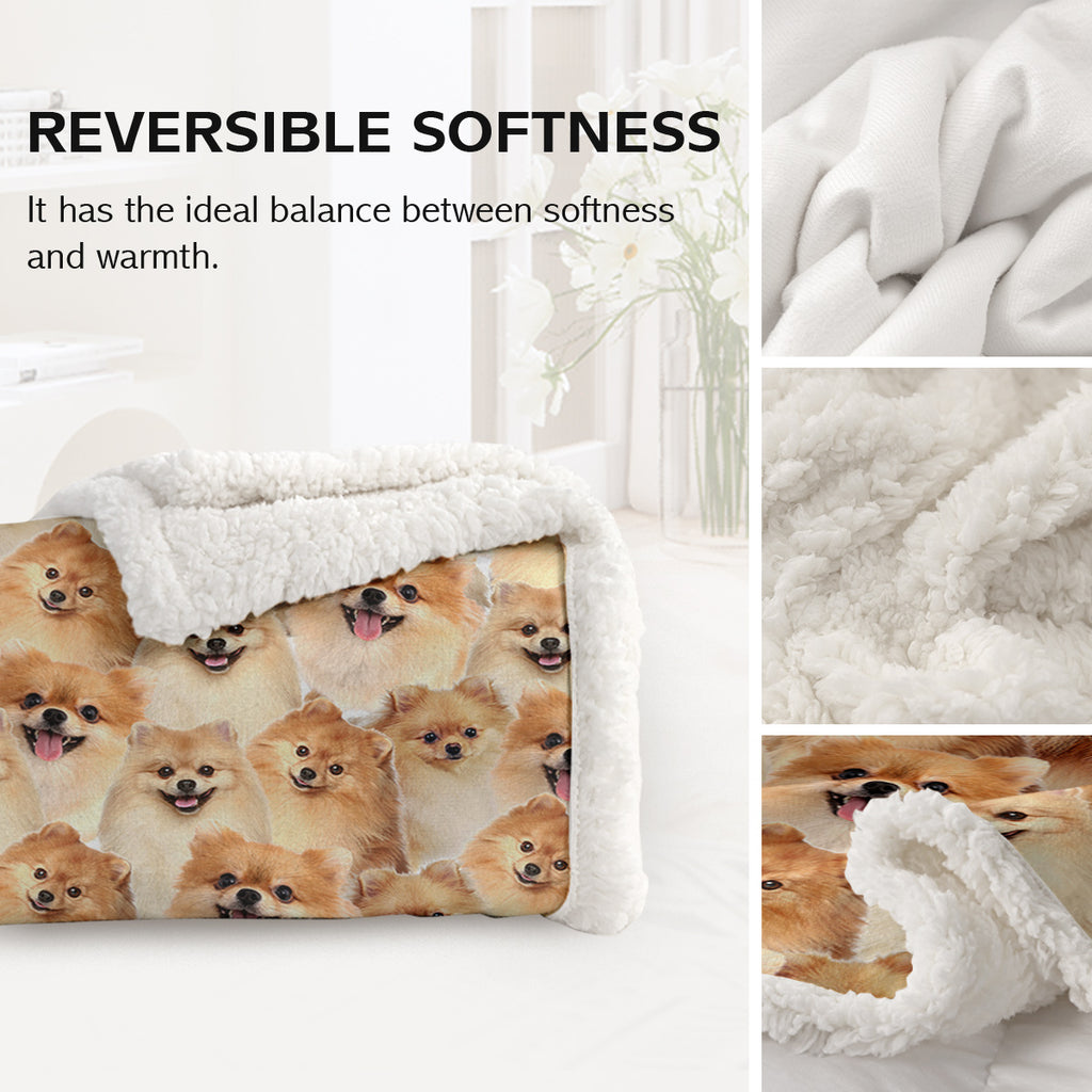 Pattern Poméranie Flèche Blanket filles Brown Sherpa Blanket mignon chien animal léger W