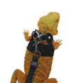 Lizard Chameleon écureuil Pet extérieur poitrine et Harness