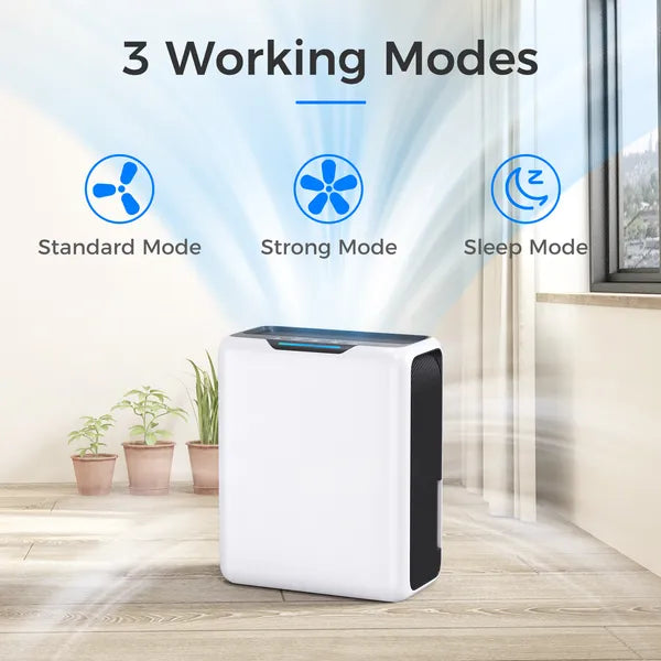 Déshumidificateur 3L