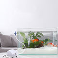Aquarium Pompe à oxygène de reproduction de poissons silencieux