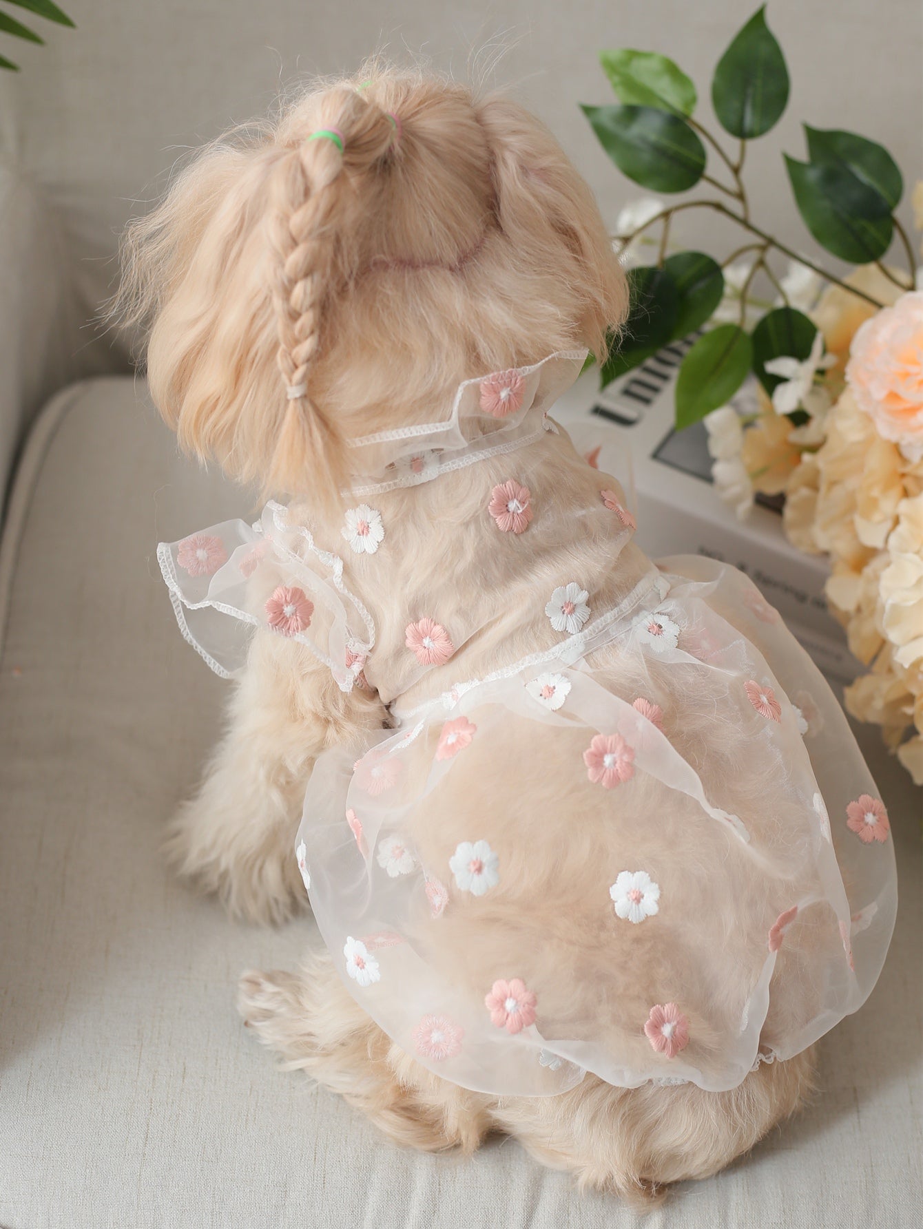 Robe pour animaux de compagnie - Broderie Daisies-Pink-XXL-Organza-1