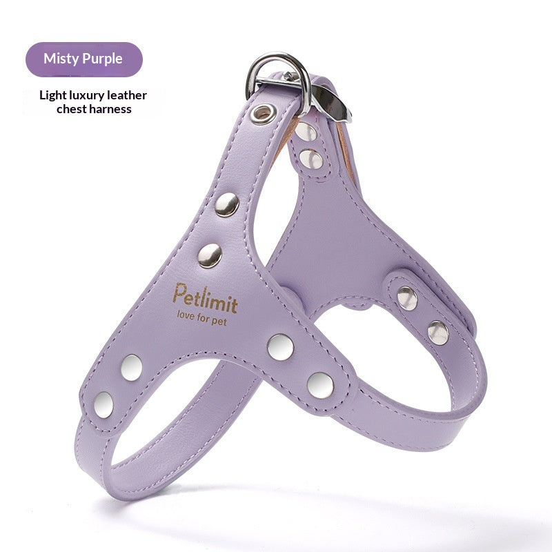 Harnais en cuir et laisse pour chiots pour petits chiens