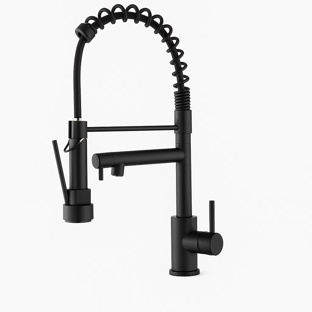 Robinet de cuisine avec pulvérisateur