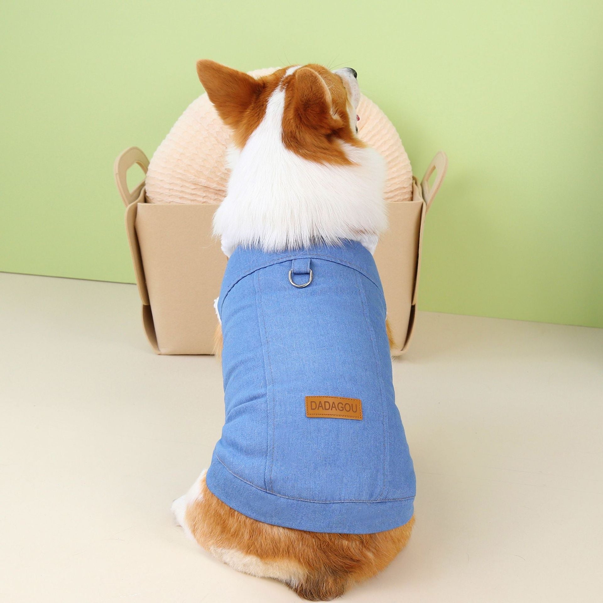 Robe de chien Corgi Denim Coton