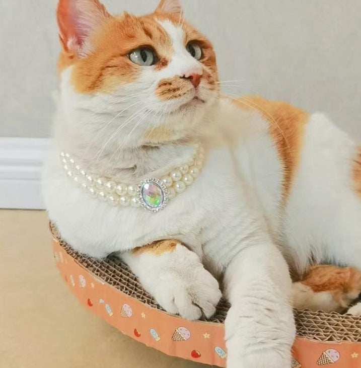 Collier de collier en perles de chat