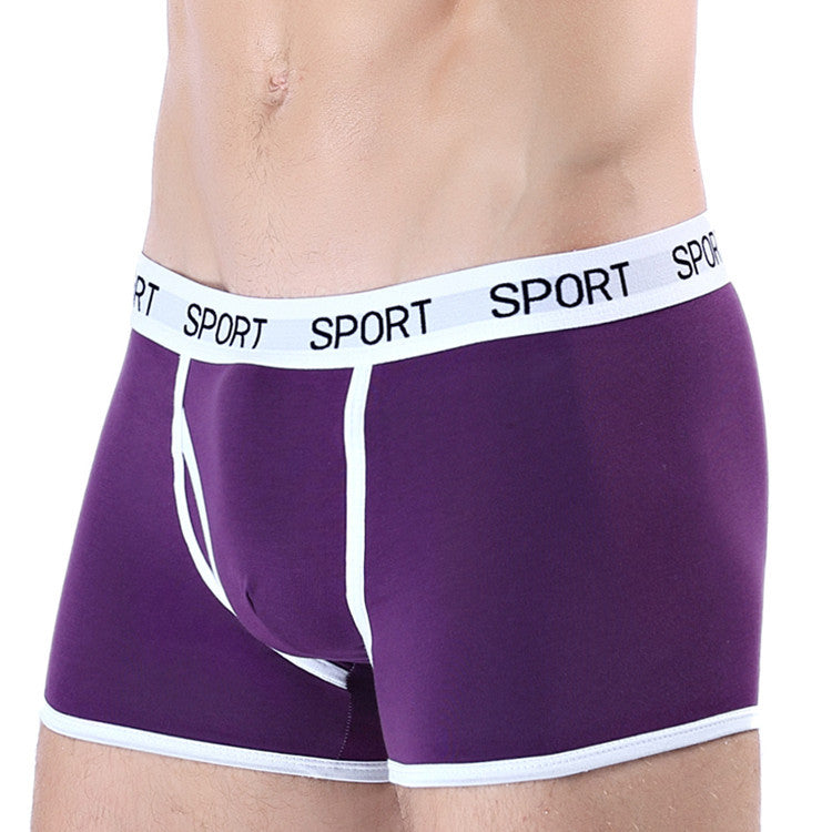 Slip de boxeur de sport en coton pour hommes
