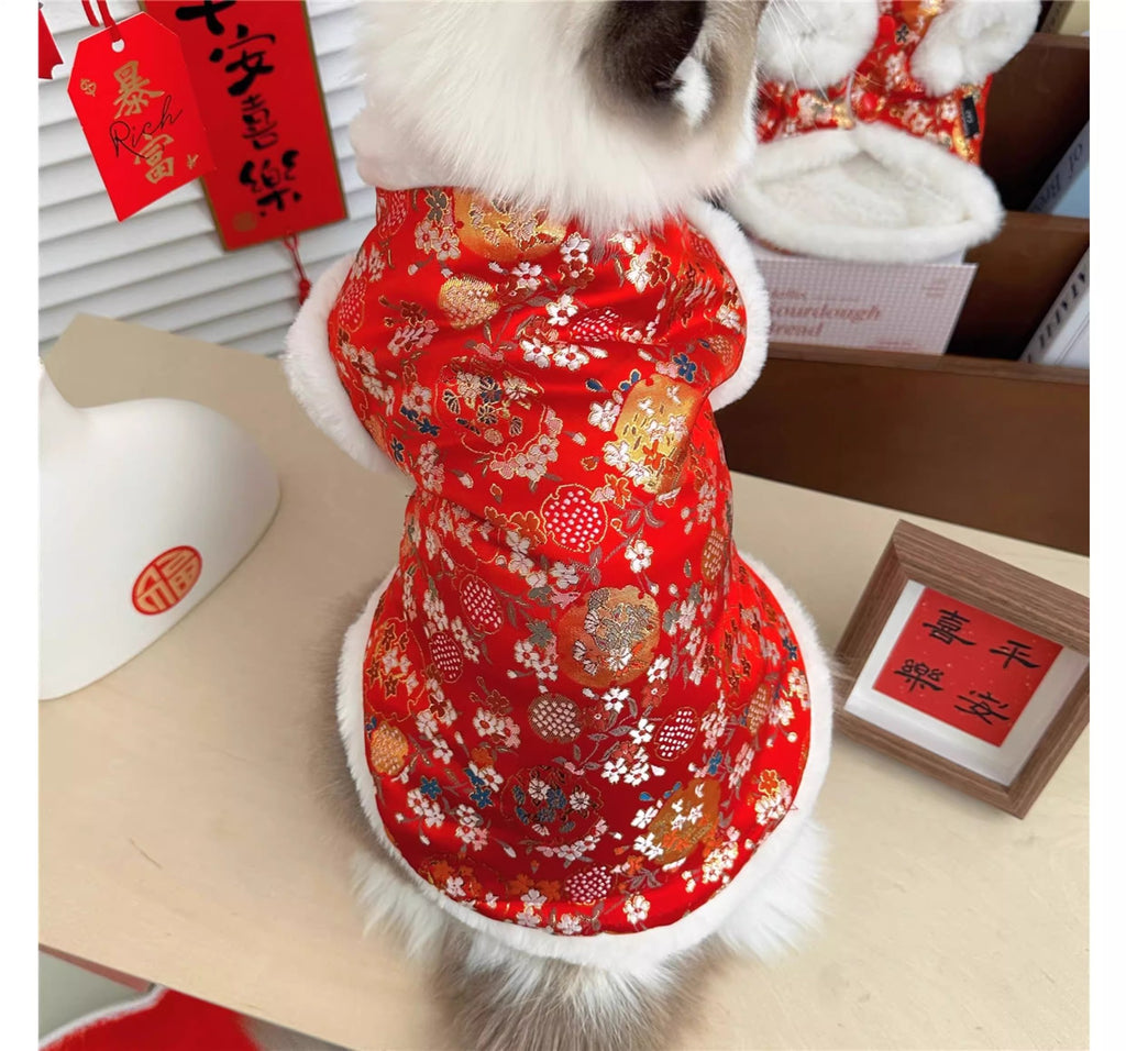 Sous-vêtements Ragdoll Maillot de chaton à l'ombre d'argent