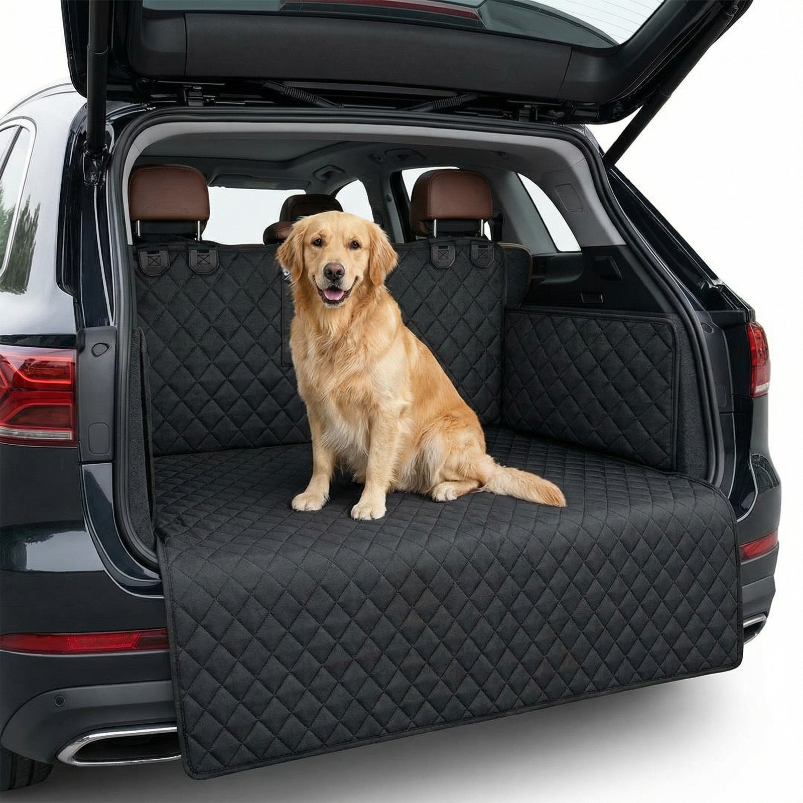 Tapis protecteurs pour chiens