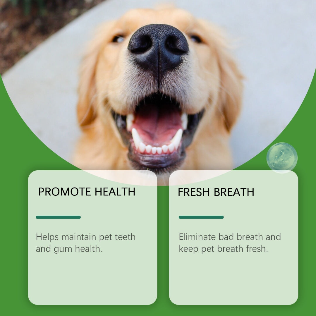 Poudre de nettoyage de dents de chien