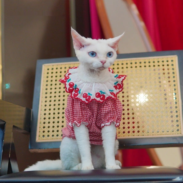 Sphynx Cat Rouge et Blanc Robe de coton d'été avec cerises Collier Dentelle Vêtements légers