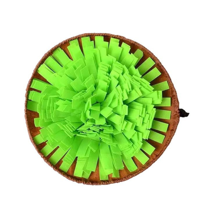 Aliments pour animaux de compagnie Tapis pour chiens et chats