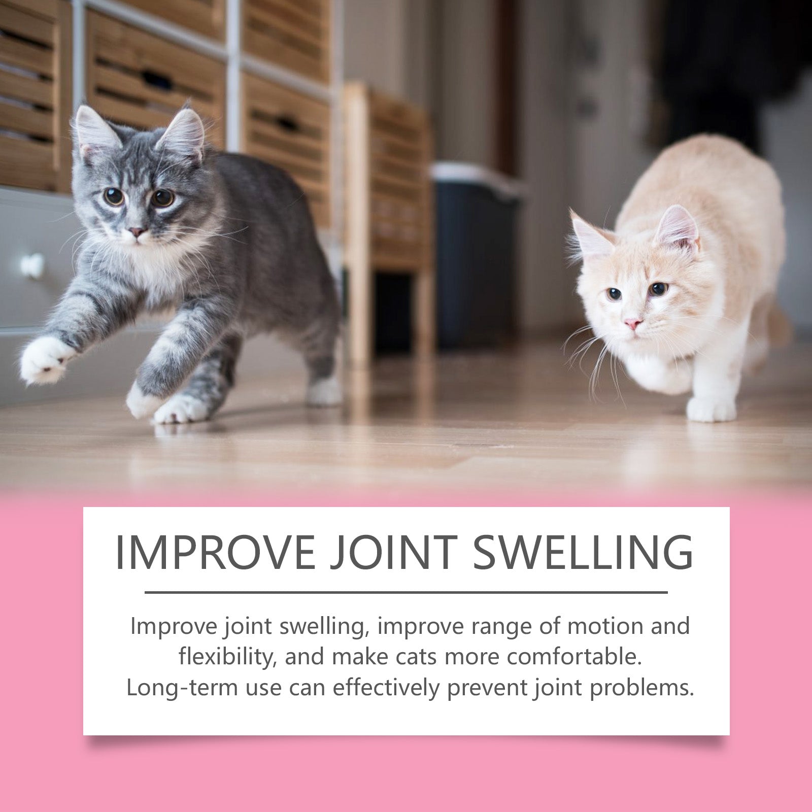 Comprimés conjoints de soutien sanitaire pour chats
