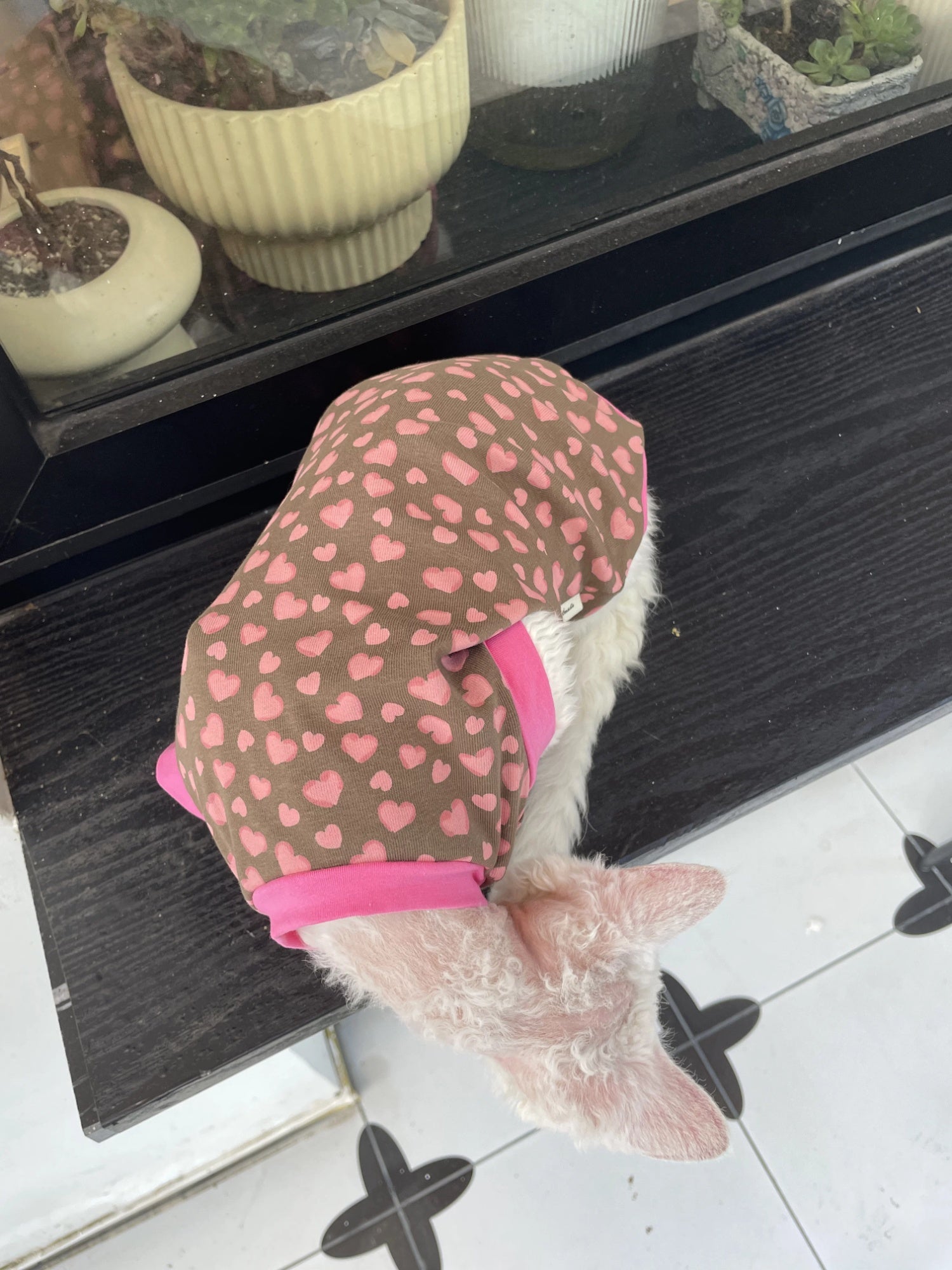Sphynx Chat Cotton Été Chemise Coeurs Pattern pour chats sans cheveux