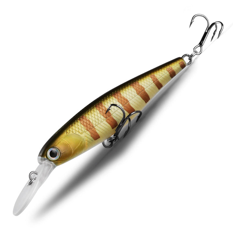 Lure Floating minnow lure