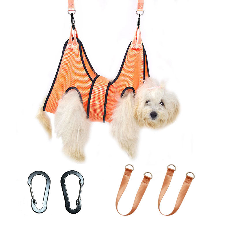 Outil pour chat et chiens