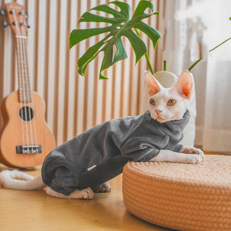 Les vêtements de chat et de chat de Devon sont épais pour l'automne Et l'hiver