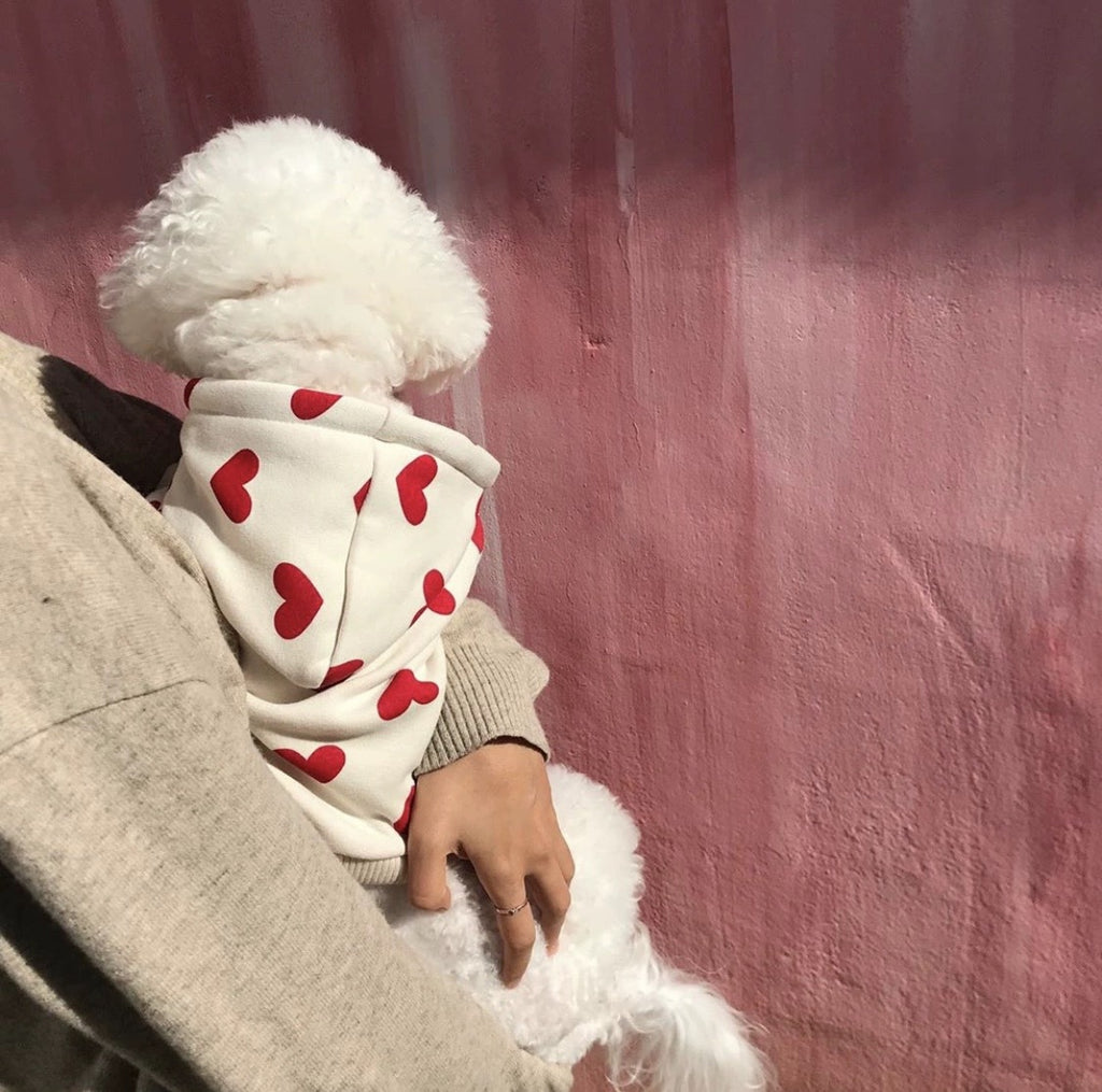 Chandail d'amour imprimé chaud et mignon
