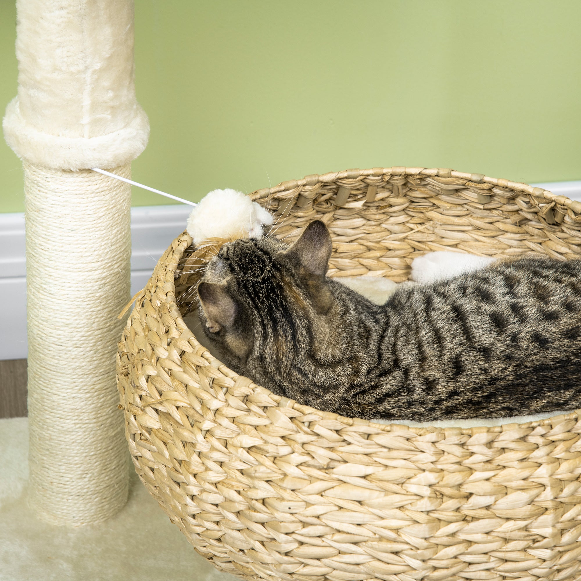Tour chat arbre chat 72cm