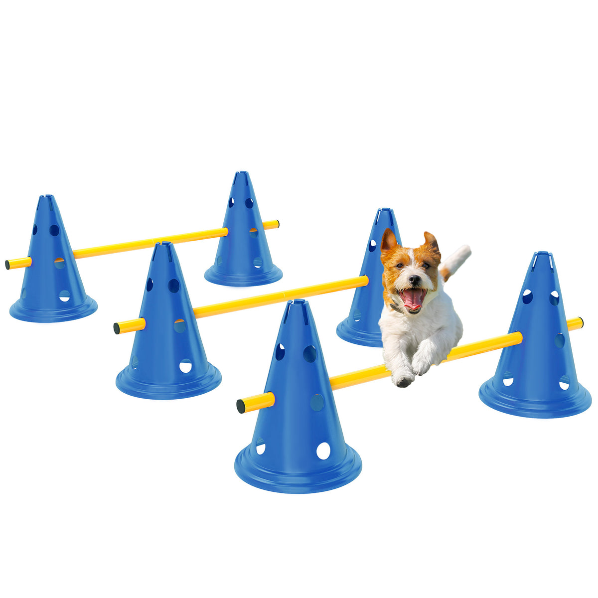 Ensemble d'équipement d'agilité de chien de six cônes