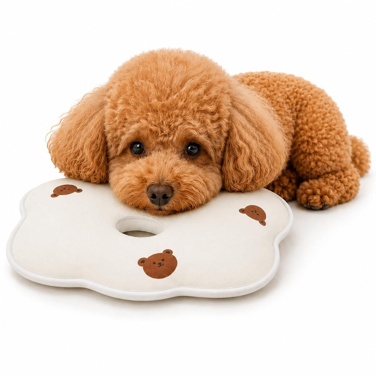 Oreiller pour petits chiens et chiots - Coussin ergonomique en forme d'ours
