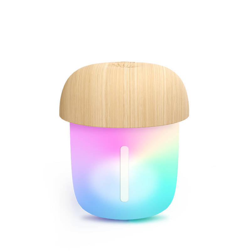 Champignons gouttelettes d'eau Humidificateur Mini Usb Véhicule à usage domestique Petit spray pour bureau