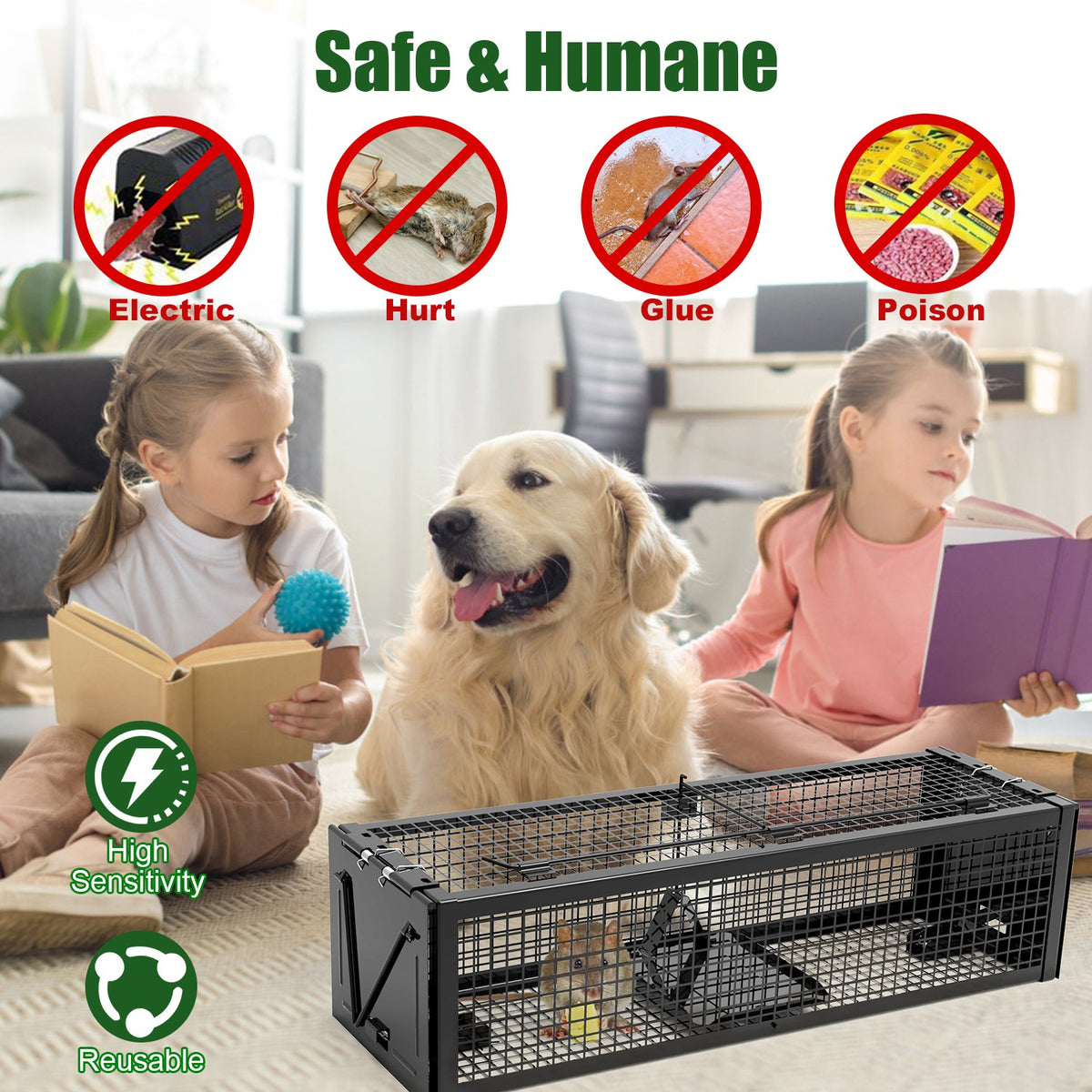2Pack 15.35x4.72x3.94en 2-Door humain Rat Trap galvanisé en fer Rodent Cage Reusa