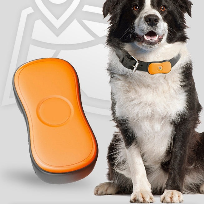 Localisateur de code QR pour les chats Petits chiens
