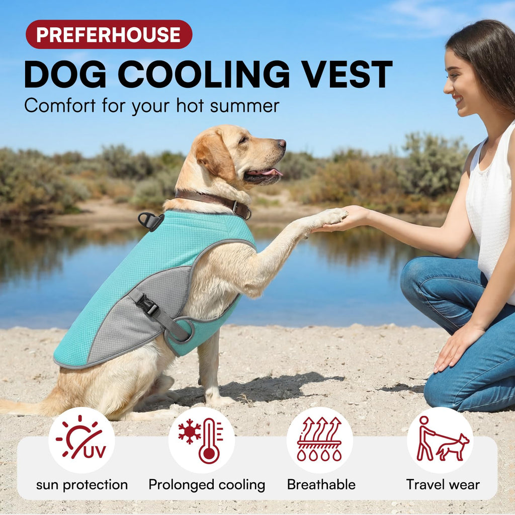 Cooling Vest for Dogs for Large Dogs