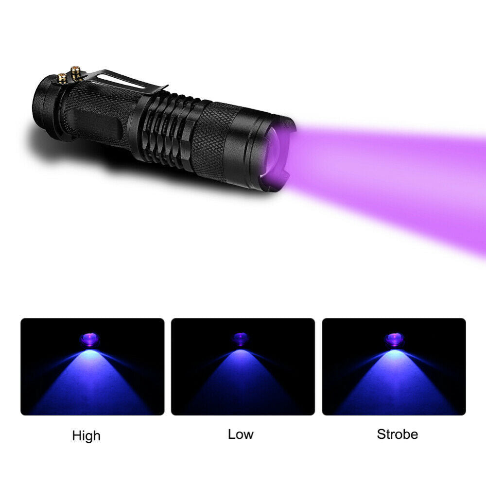 Lampe de poche UV Ultra Violet Lampe de poche portatif Petite lampe de poche 395nm Mini lumière Inspectio