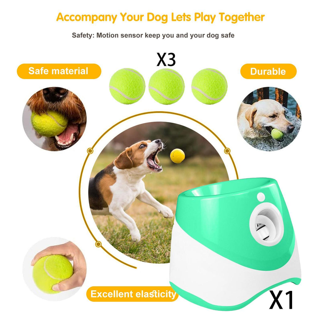 Launcheuse automatique de balle de chien à lancer des chiens intérieur extérieur