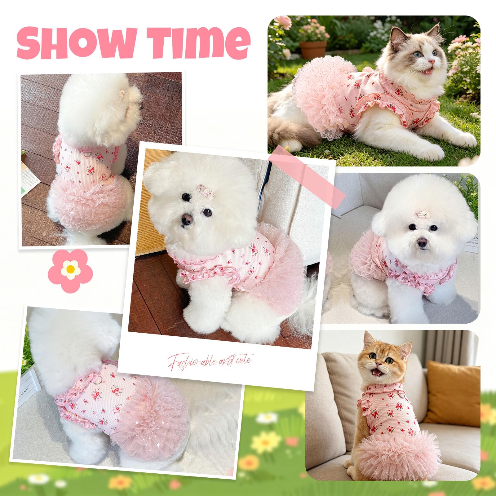 Robes de chien pour petits chiens fille