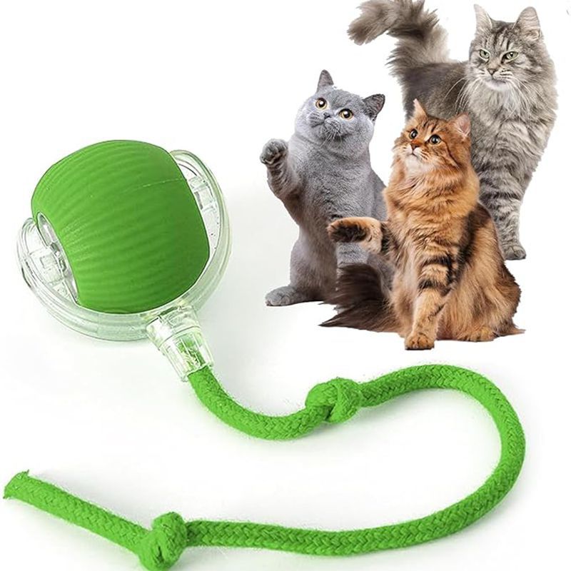 Chat Interactive Ball Toys Automatic Rolling Ball pour Kitten Smart Pet Electri rechargeable