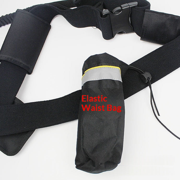 Harnais pour chien en laisse attelé