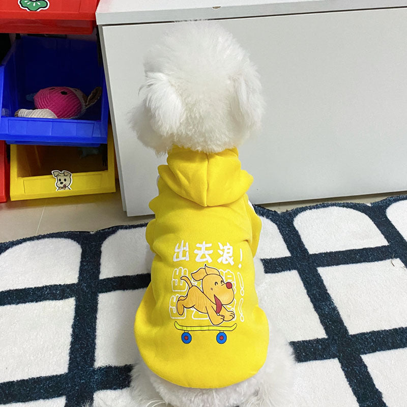 En automne et en hiver, les vêtements de chien sont mignons