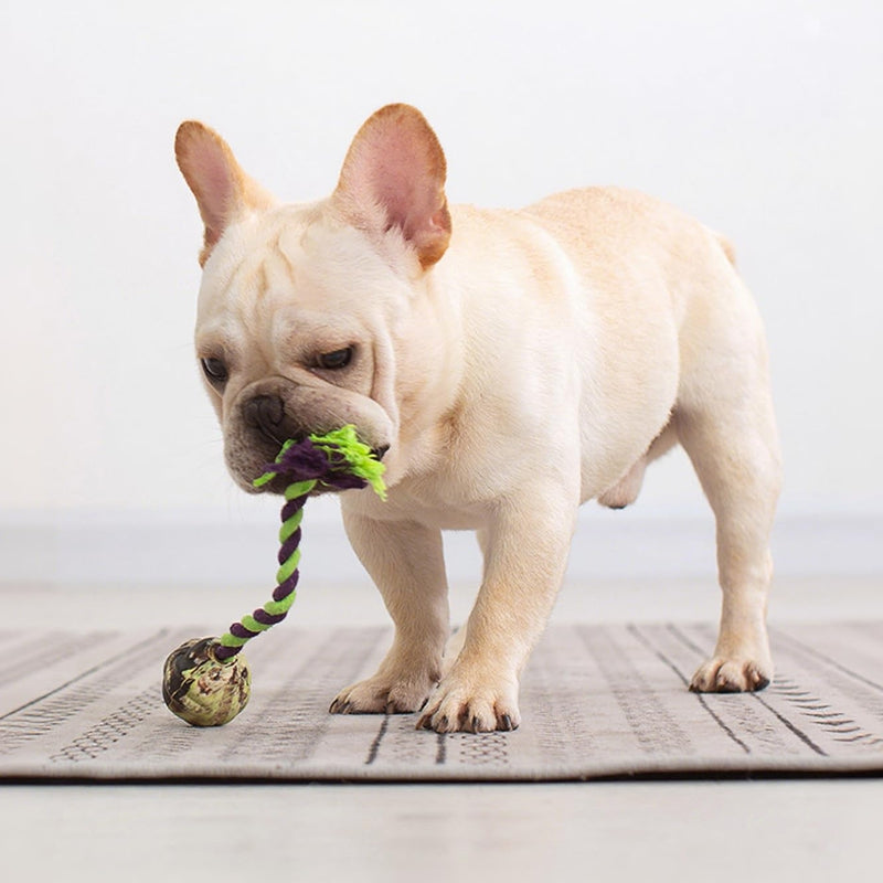 Jouets pour chiens à noeuds de boule