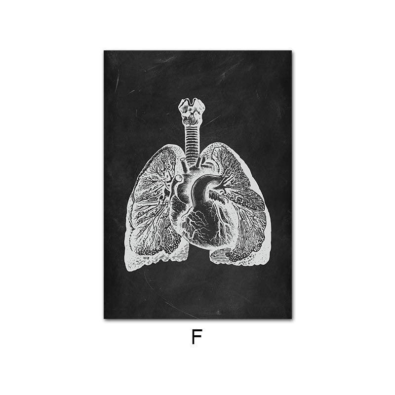 Peinture sur toile du système d'organes de squelette d'anatomie humaine