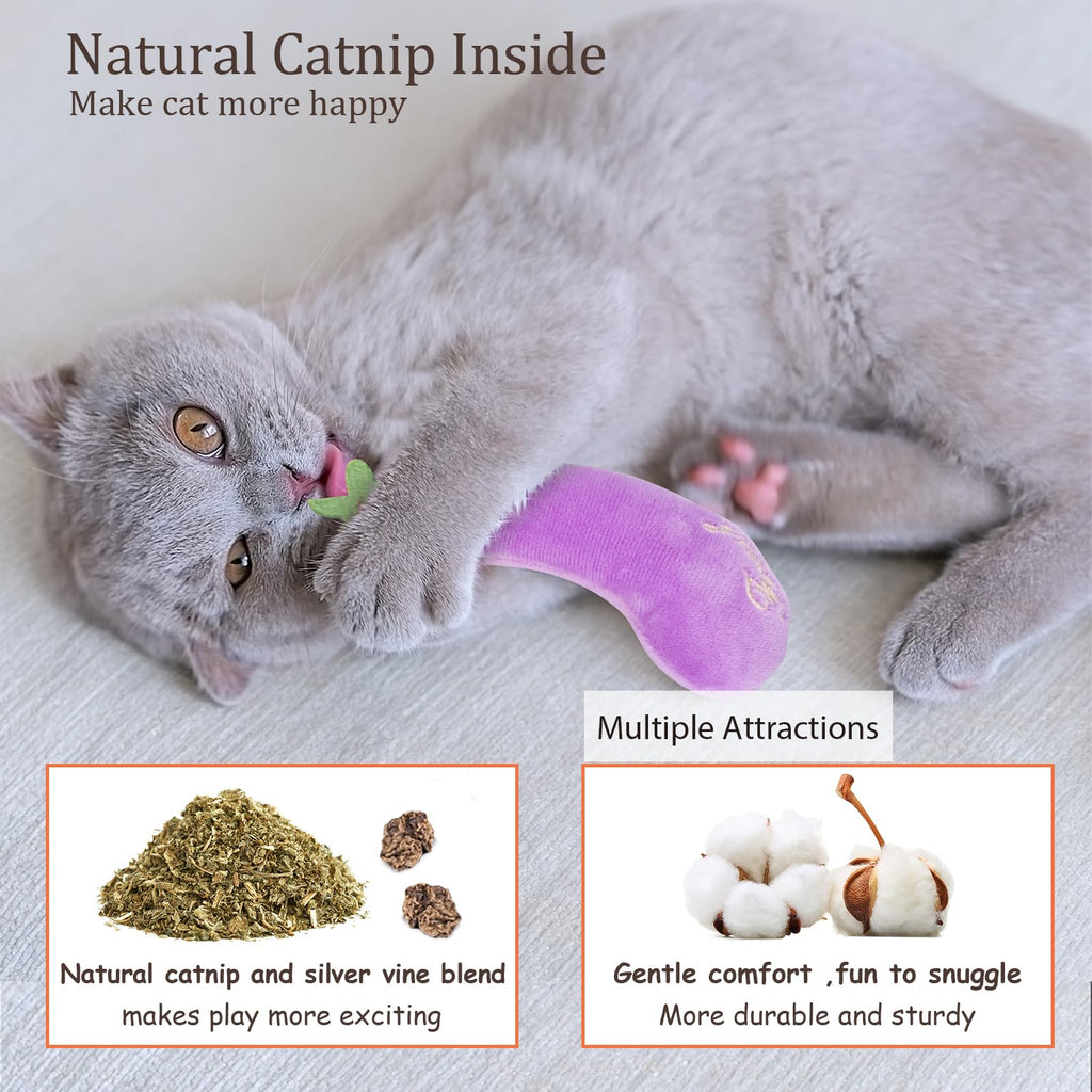 Jouets Catnip