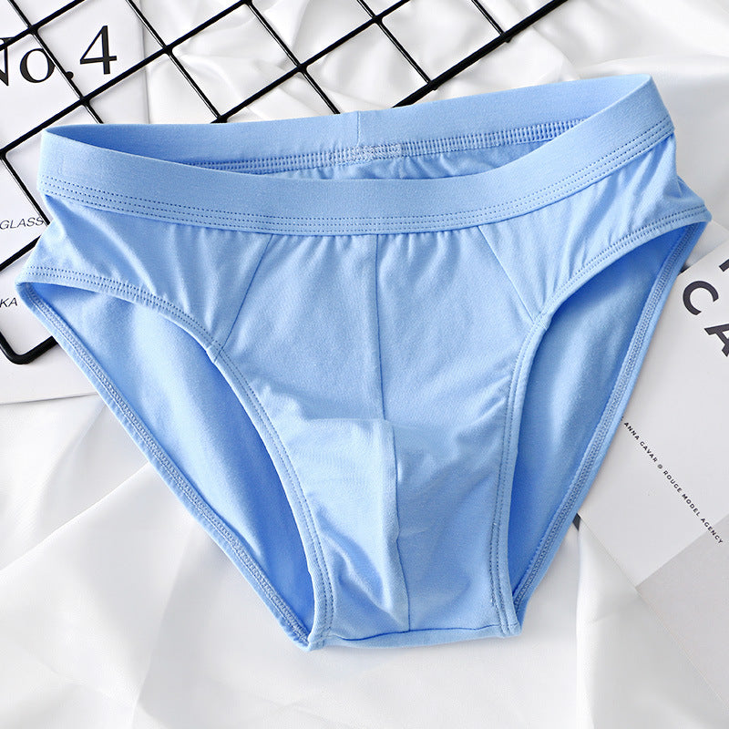 Slips en coton de mode pour homme