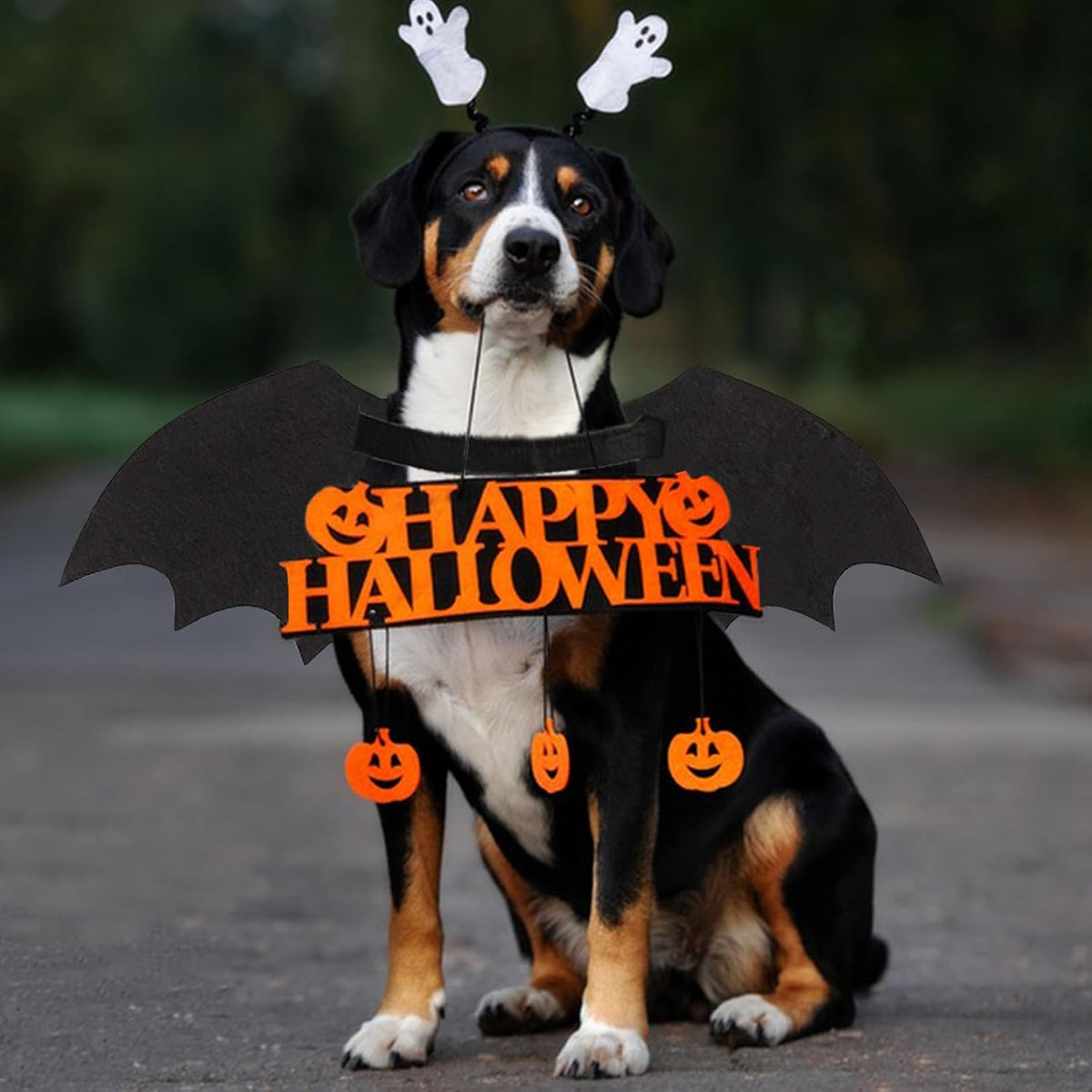 Chien Halloween costumes Chien Bat costume Cool Lumineux Skeleton Bone Bat Ailes Animaux Cosplay